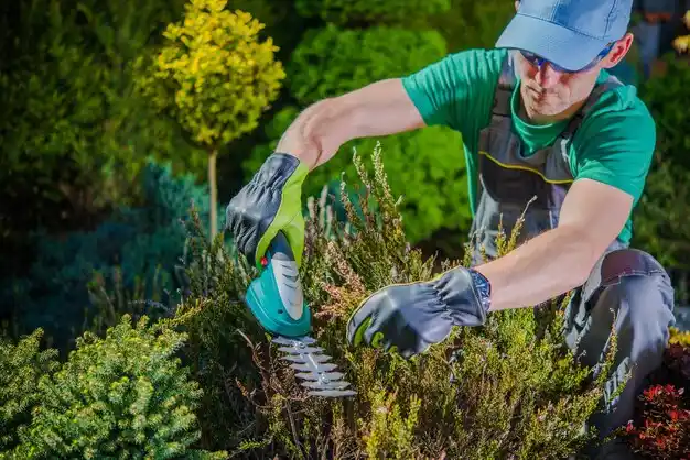 landscaping services Allen Park